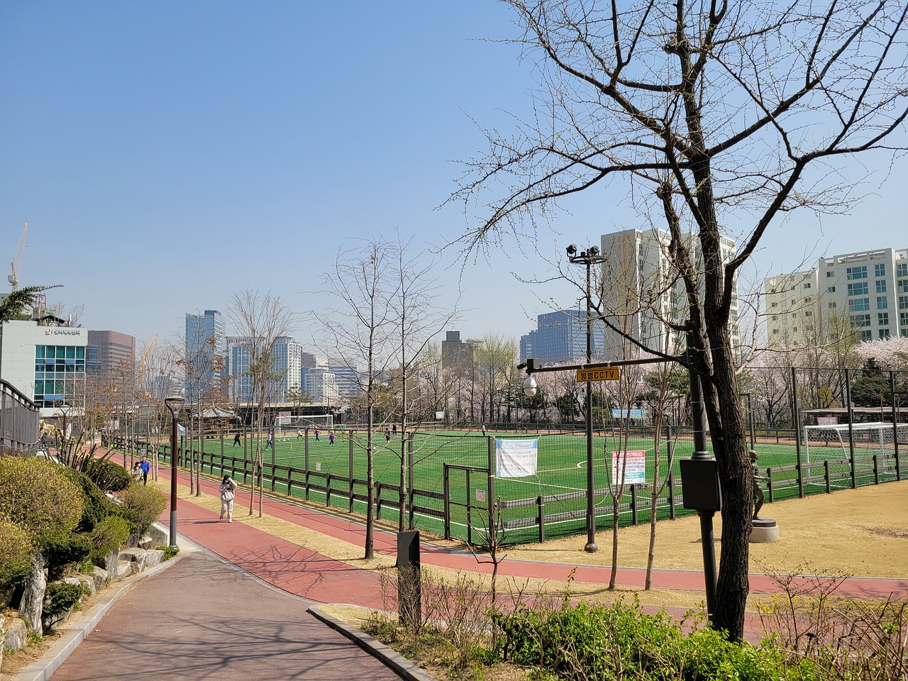 茨基在战术