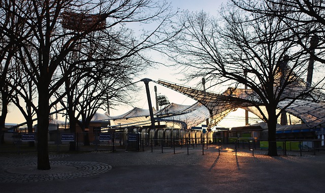 球迷狂喜 球迷狂喜