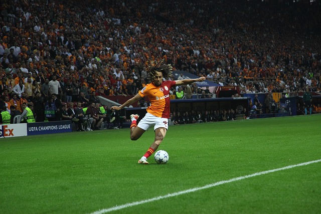 英超各队的 英超各队的