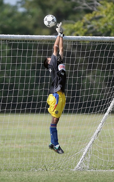 数据显示 数据显示