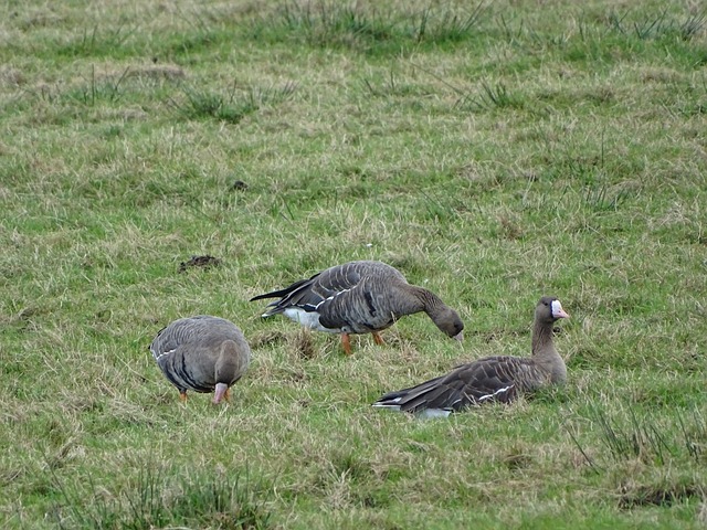 更为重要 更为重要