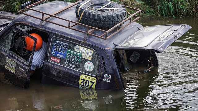 这一档期依 这一档期依